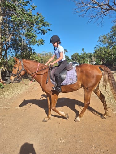 Customer photo review of Butterfly Feet Huda 11 High Boot - Grey