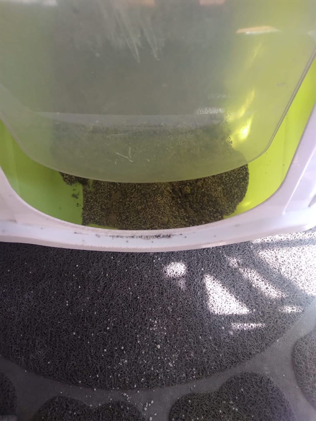 Customer photo review of Arena Minino 48kg - Carbón Activado [Nueva]