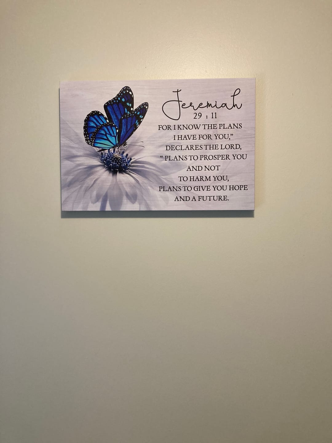 Customer photo review of For I Know The Plans I Have For You Jeremiah 29:11 Butterfly Wall Art Canvas