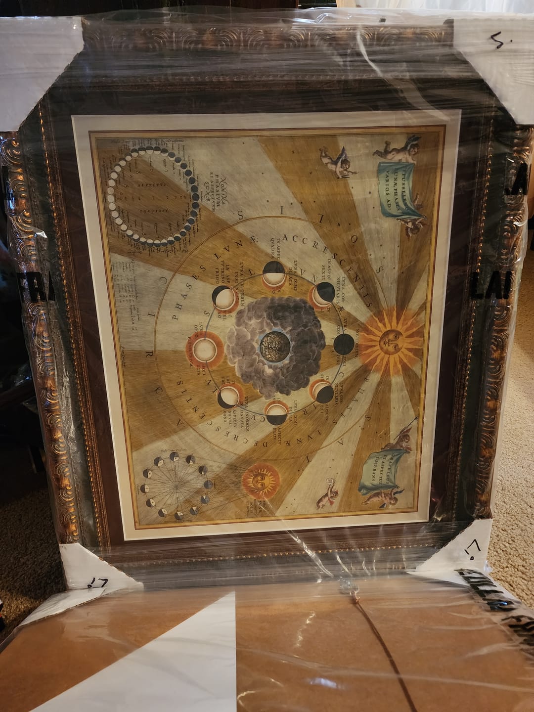 Customer photo review of Old Chart of Lunar Phases, 1661 by Cellarius - Moon Cycles, Early Planetary Motion Education