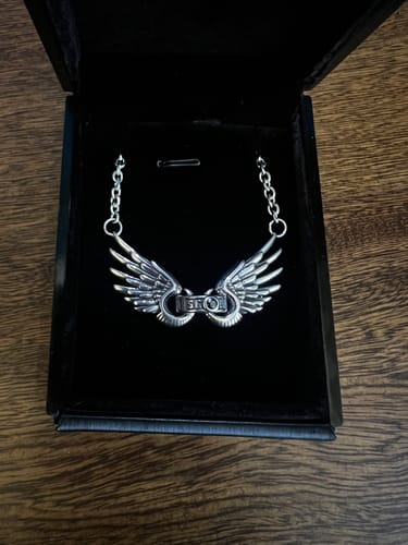 Customer photo review of The Ascendant