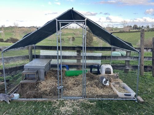 Customer photo review of Walk-in Chicken Run with Waterproof Cover 3m x 2m