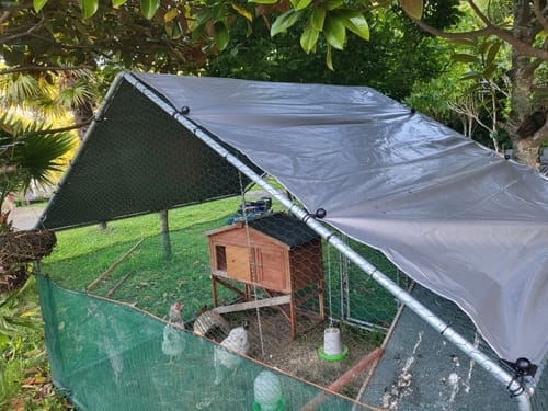 Customer photo review of Walk-in Chicken Run with Waterproof Cover 3m x 2m