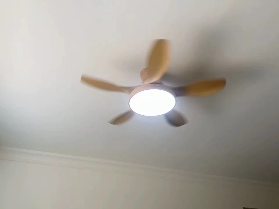 Customer photo review of WOMO Scandi Reversible Ceiling Fan with Light-WM5002