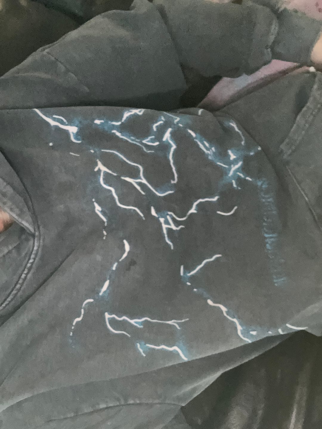 Customer photo review of Aelfric Eden Lightning Graphic Hoodie