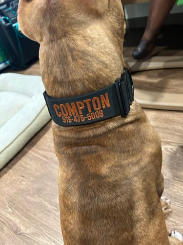 Customer photo review of Black Bully Proof Collar