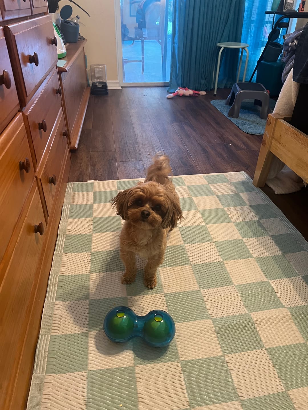 Customer photo review of GURU Duo Ball
