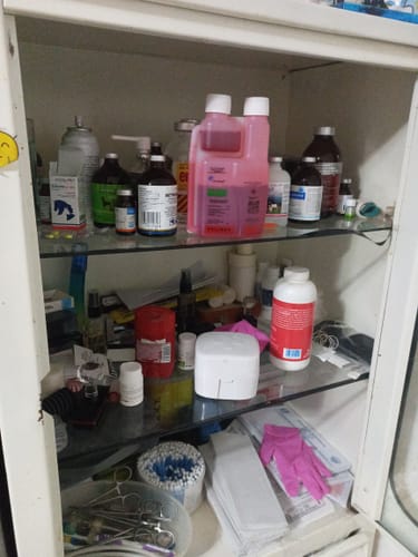 Customer photo review of Forte 4