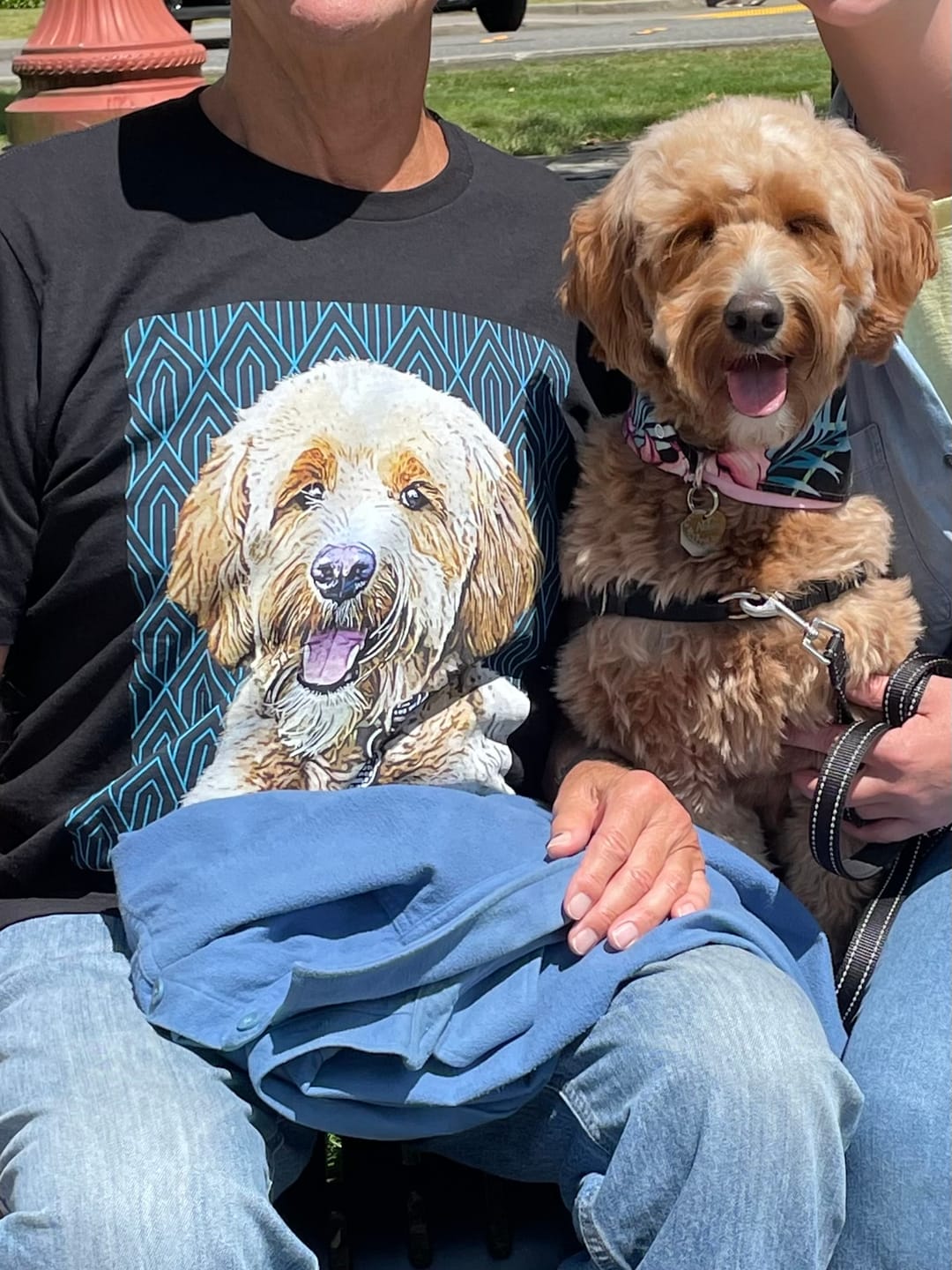 Customer photo review of Custom Pet Art Mens Crew Neck T-shirt