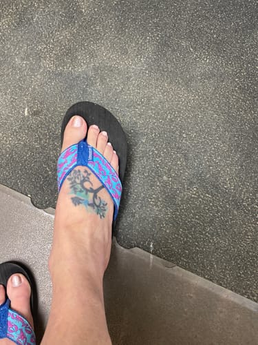 Customer photo review of Labrador Retrievers