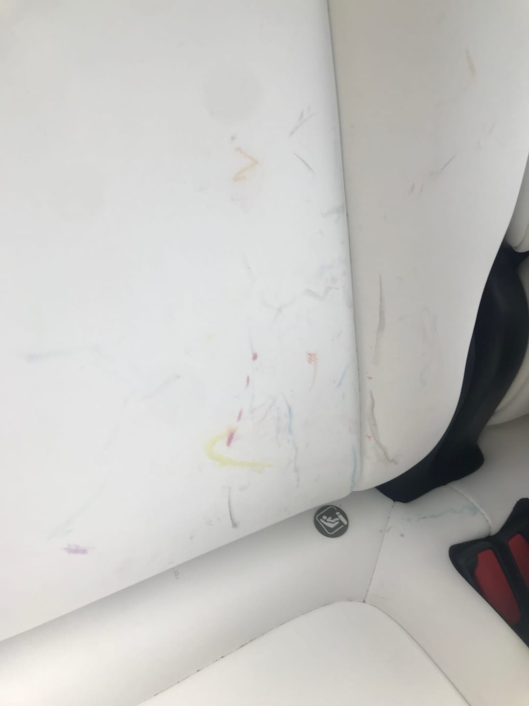 Customer photo review of Leather & Interior Cleaner - Gallon