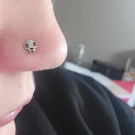 Customer photo review of Cat Skull Silhouette Nose Stud + Earring