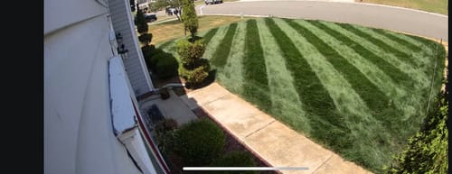 Customer photo review of N-Ext Sea-K