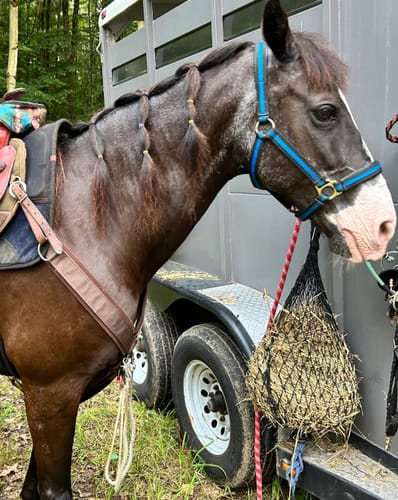 Customer photo review of Hay Chix® Half Bale Net