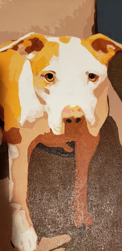 Customer photo review of Custom Paint By Numbers Kit