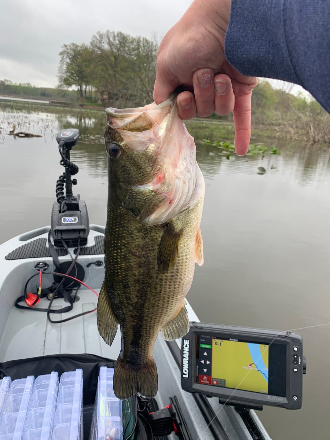 Customer photo review of TRUSCEND PoPobait with BKK Hooks, Top Water Whopper Plopper Fishing Lures for Bass Walleye Pike Catfish, Floating Lure for Freshwater or Saltwater Amazing Lures Fishing Gifts for Family Fishing [WM]