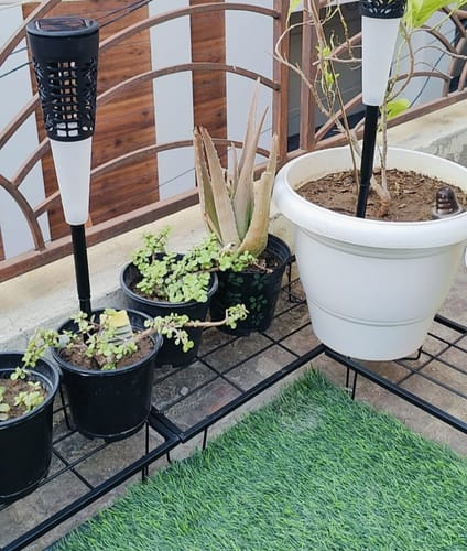 Customer photo review of United Crafts Indoor/Outdoor Flower Pot/Plant Stand (Set of 4)