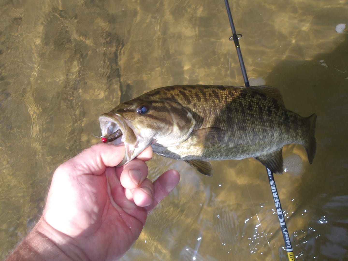 Customer photo review of 200% Sensitive Tungsten Ball Jig Heads Damiki Rig Jig Heads | No Chip Black | 5 Pack