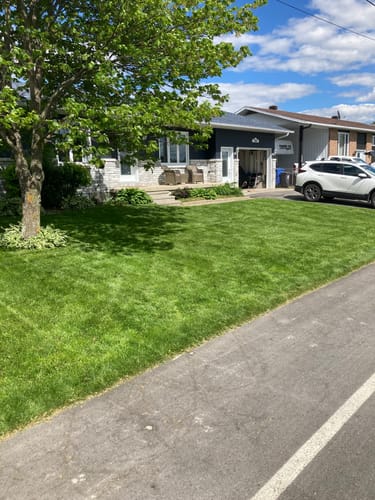 Customer photo review of Par 3 Herbicide Lawn Weed Killer 4L