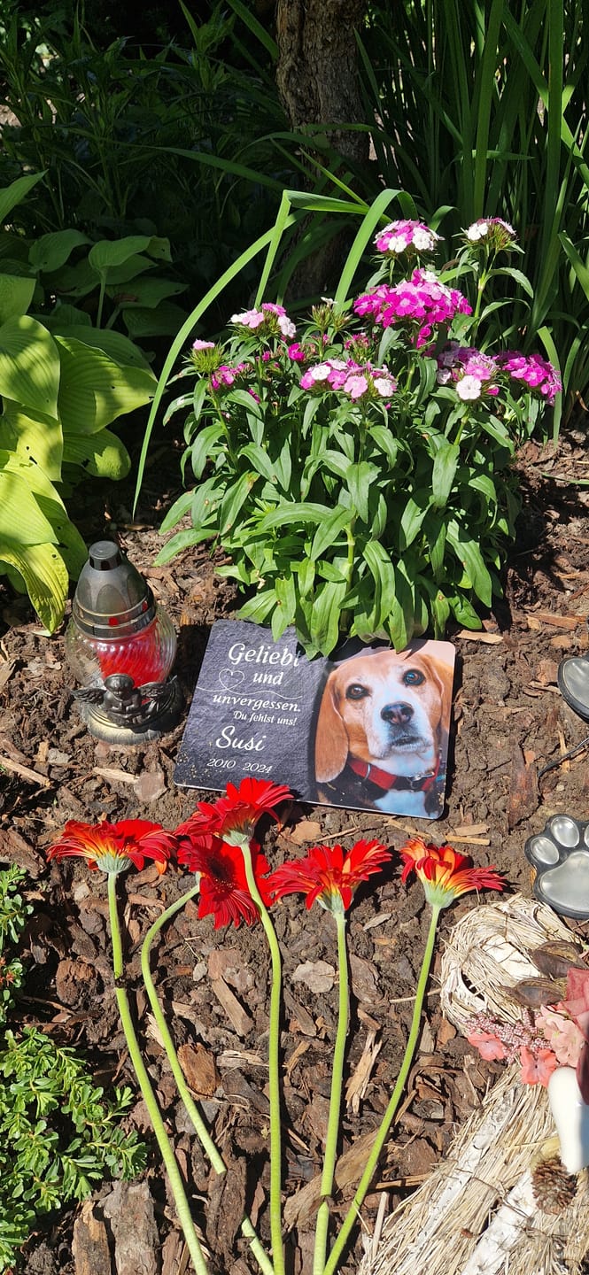 Customer photo review of Hunde Gedenktafel mit Foto & Spruch (UV- & Wetterfest)
