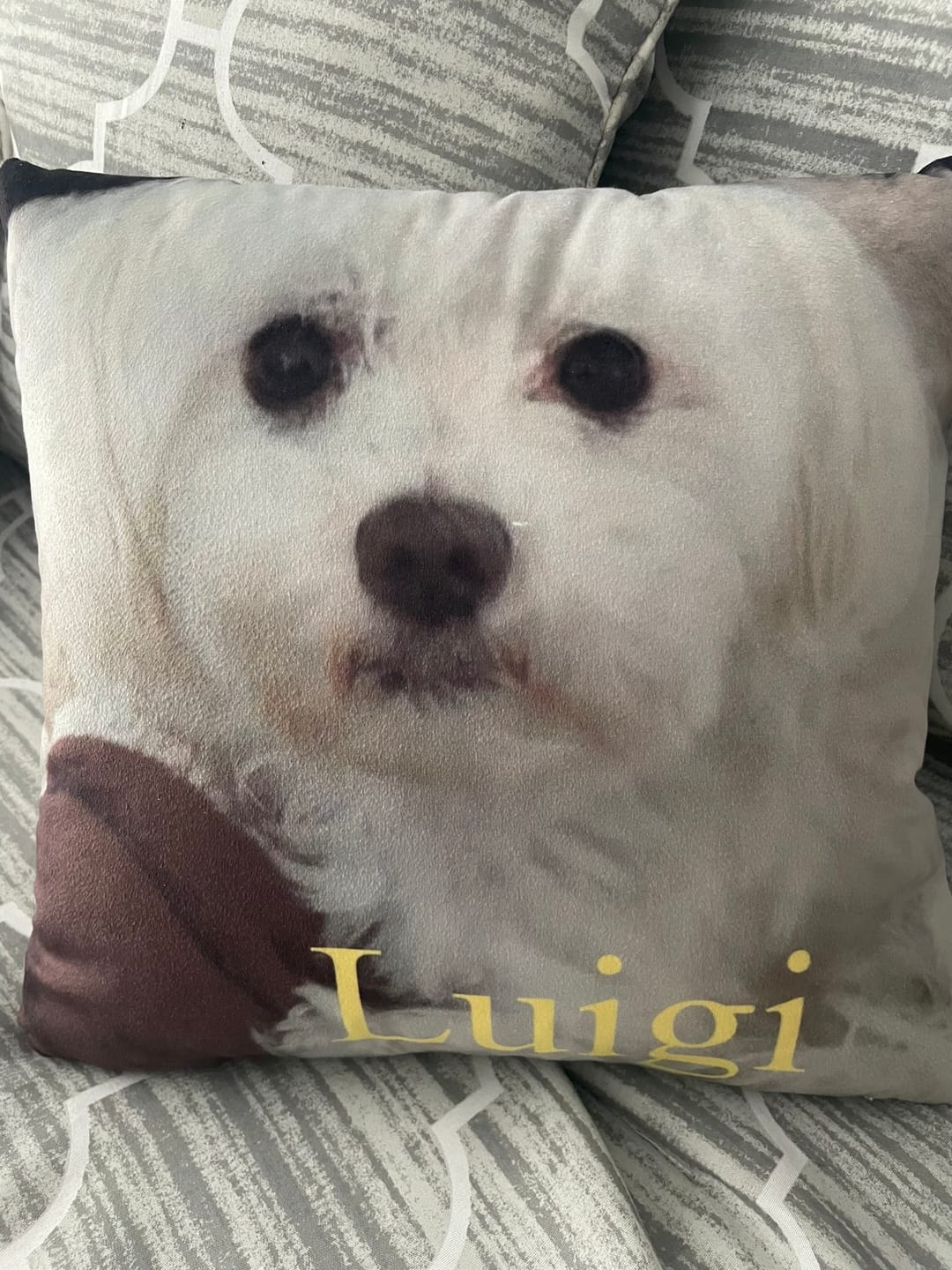 Customer photo review of Custom Photo Pillow with Your Dog Photos, Print Pet Photo on Pillow