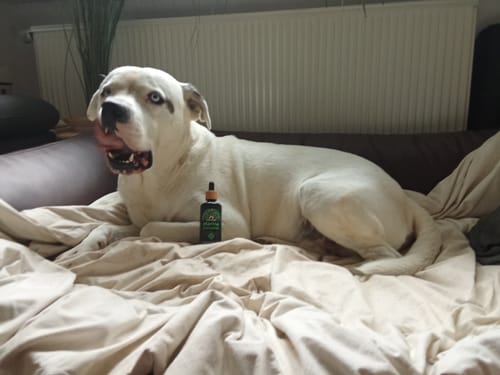 Customer photo review of Omega 3 Algenöl