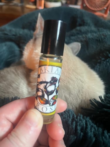 Customer photo review of Chapter 1: Briar Rose