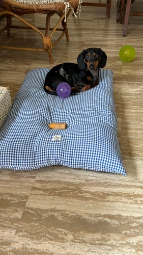 Customer photo review of Cuscino Rettangolare Vichy