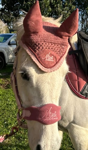 Customer photo review of LeMieux Mini Vogue Headcollar & Leadrope - AW23