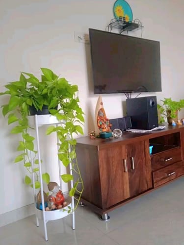 Customer photo review of UC-1 Premium Big Metal Multi-Tier Planter Stand for Home Décor (Gold Set of 2) Pot Holder