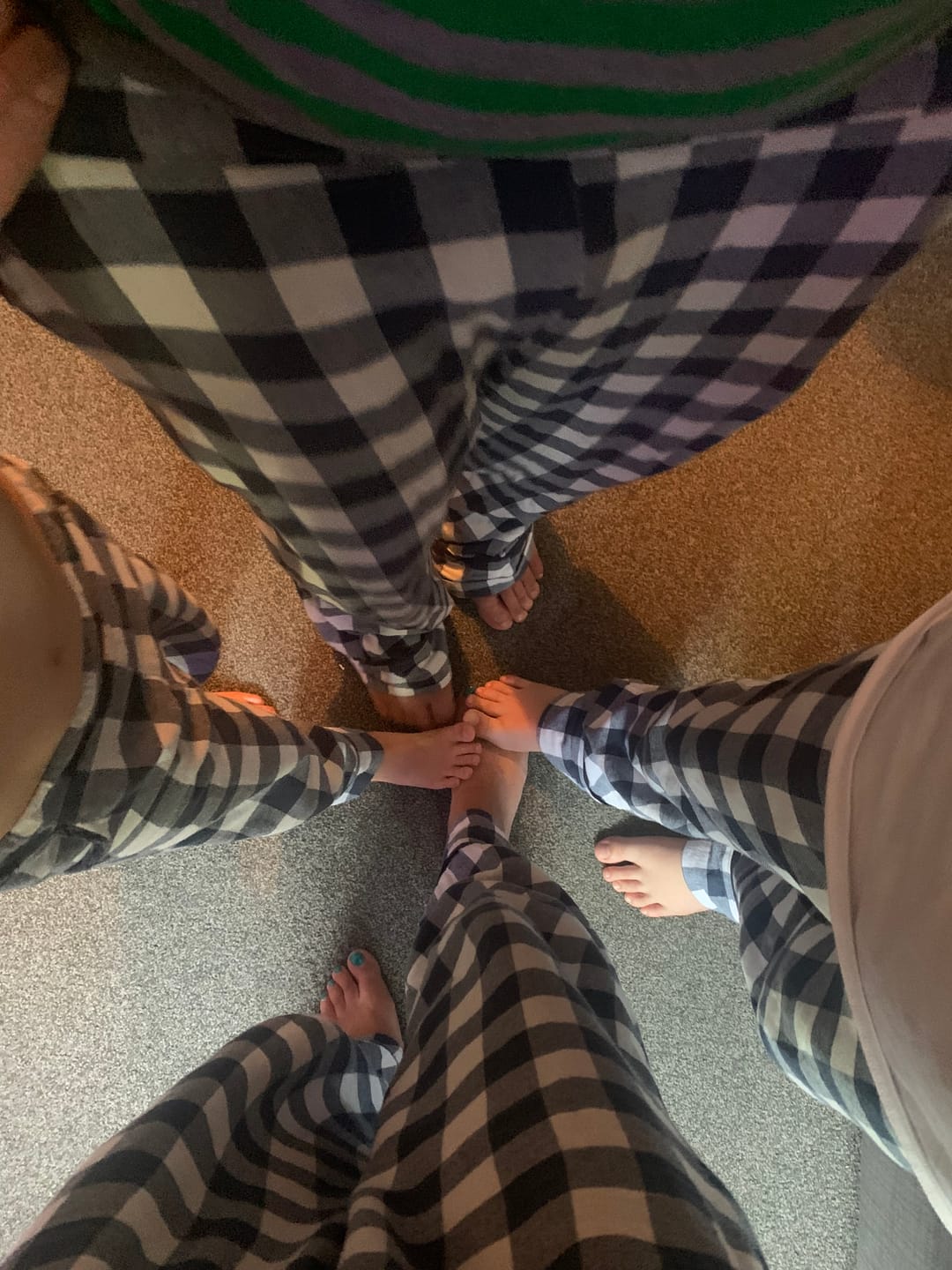 Customer photo review of Blue and Ivory Checkered Brushed Cotton Fabric