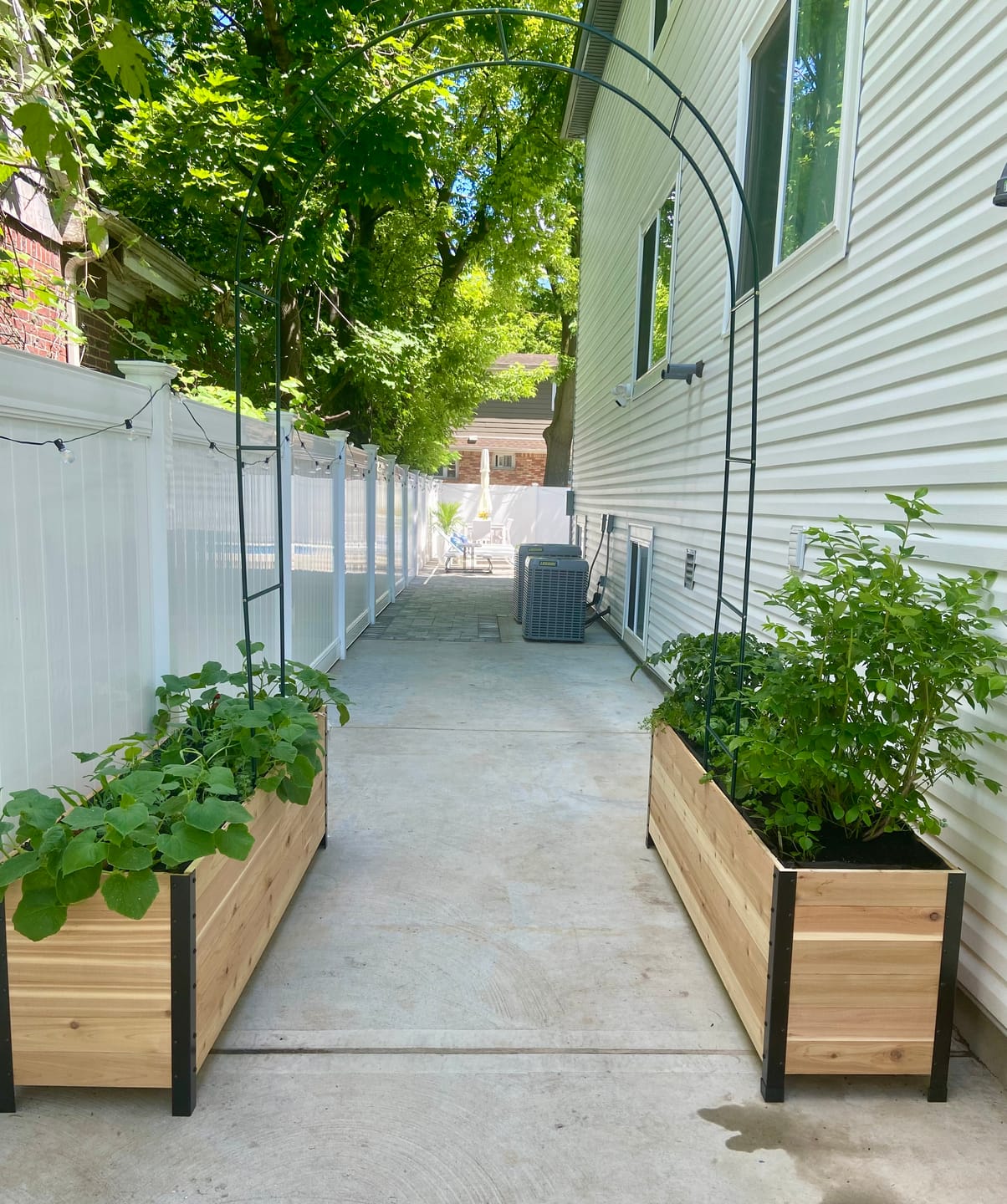 Customer photo review of 18" x 72" Planter Box - 24" Tall
