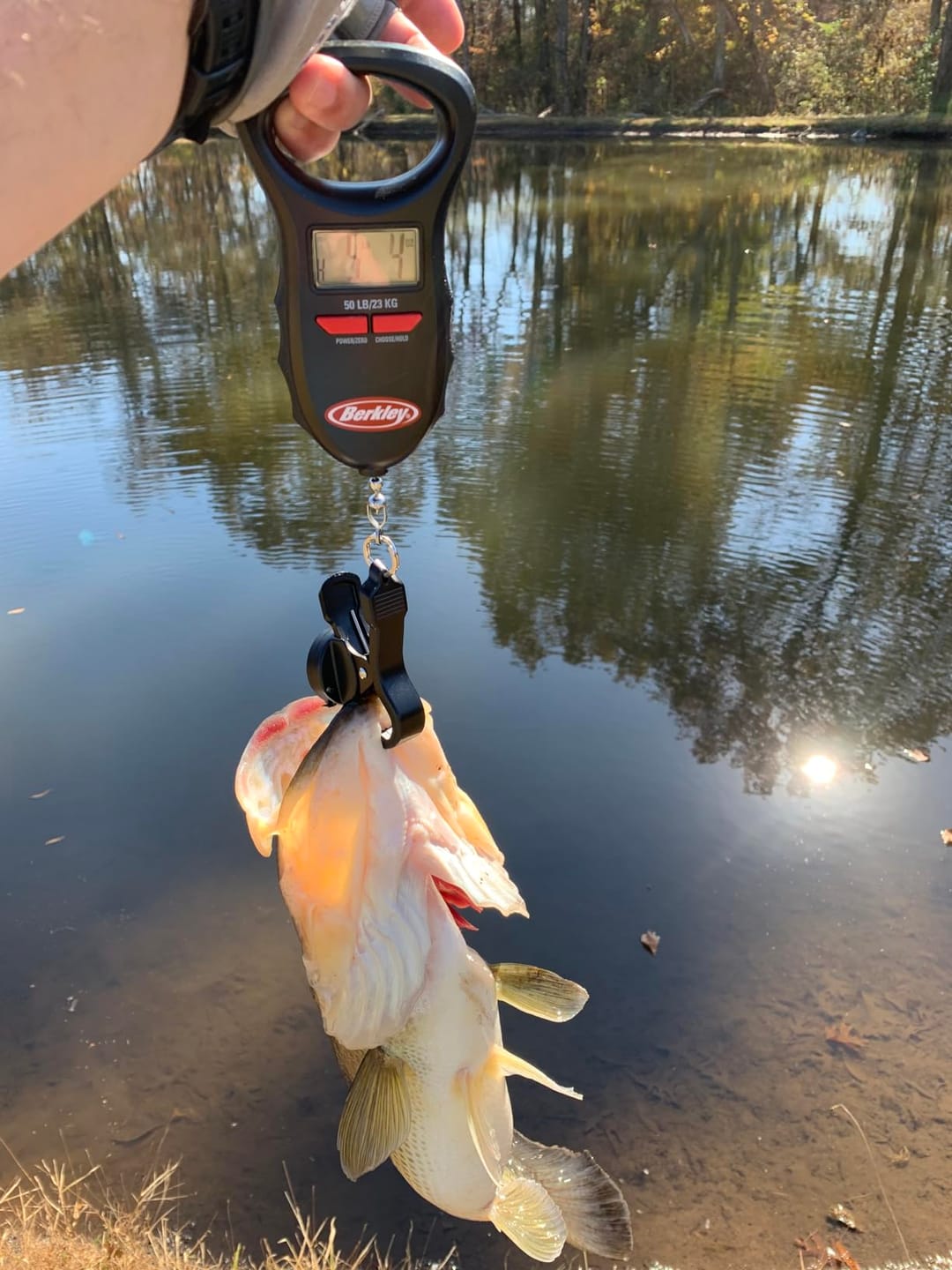 Customer photo review of Three-Segmented Fishing Lure Soft Tail Jointed Swimbait