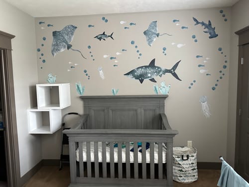 Customer photo review of Rays, Jellyfish & Shark Decal Set