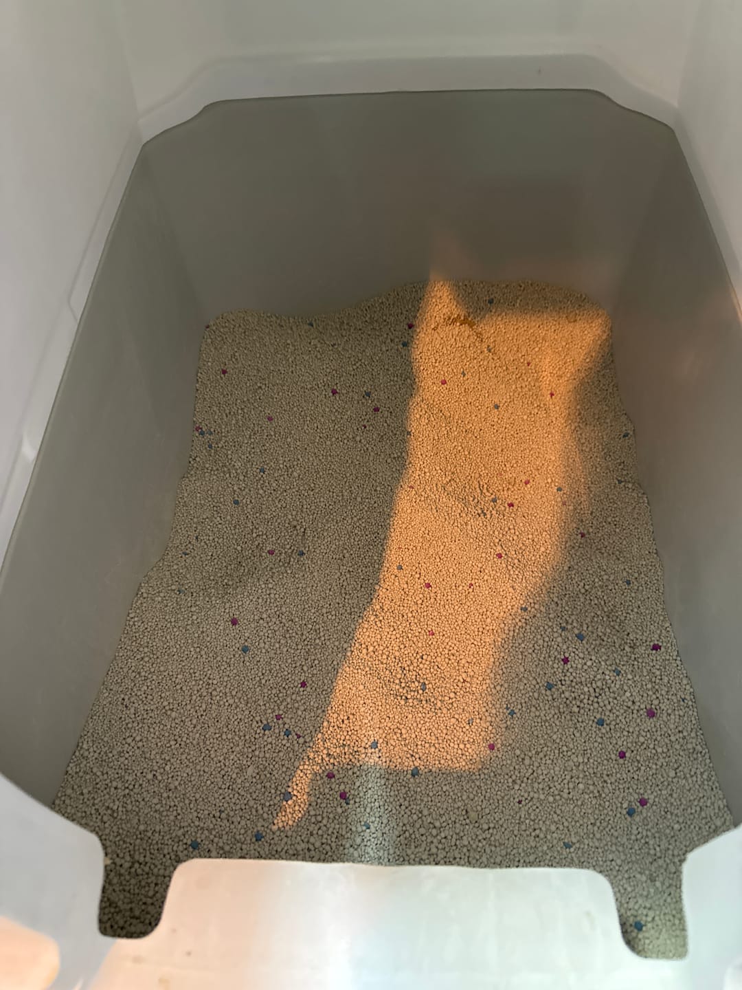 Customer photo review of Arena Minino Aglutinante 20kg + 4kg Regalo