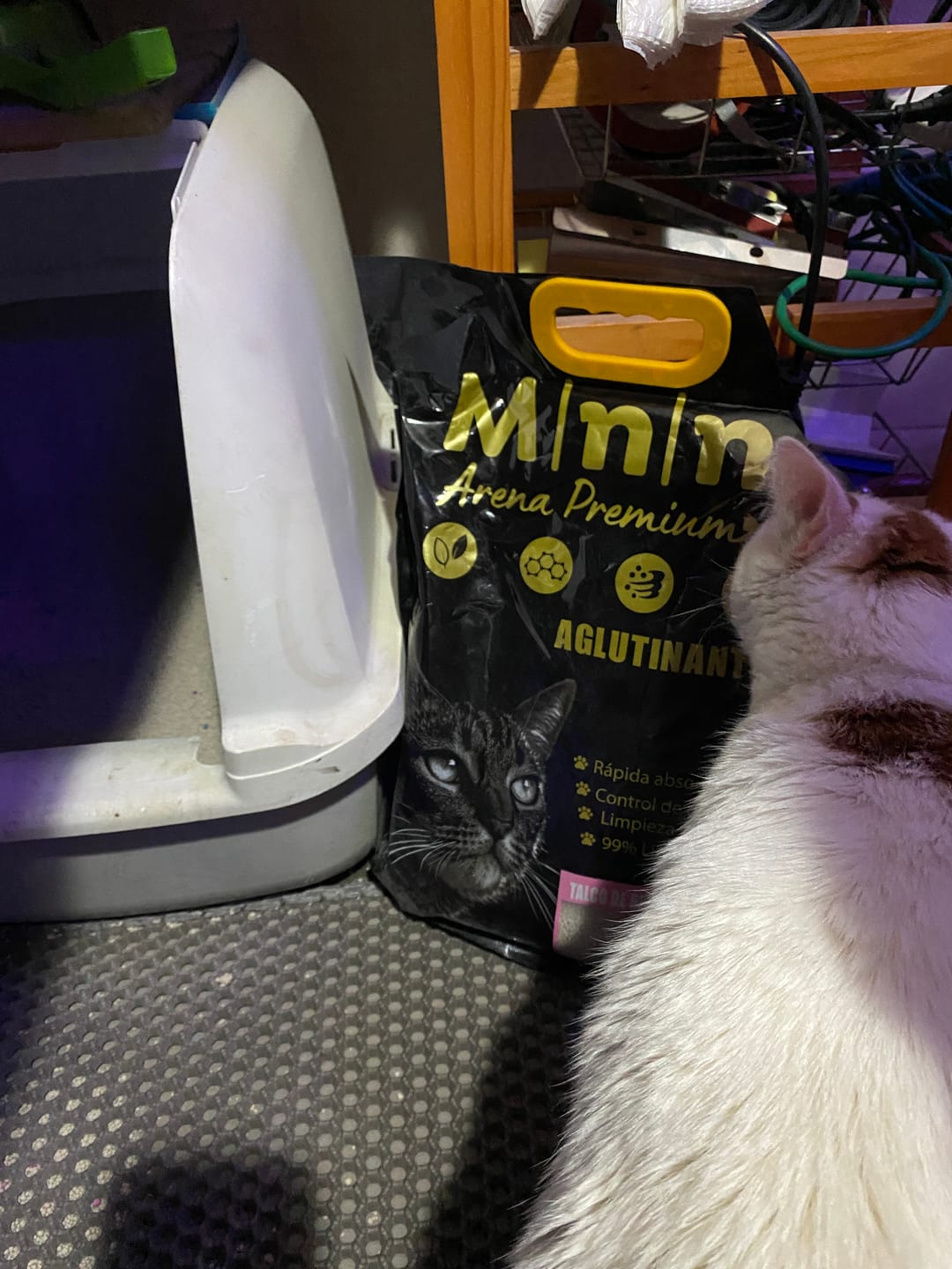 Customer photo review of Arena Minino Aglutinante 20kg + 4kg Regalo