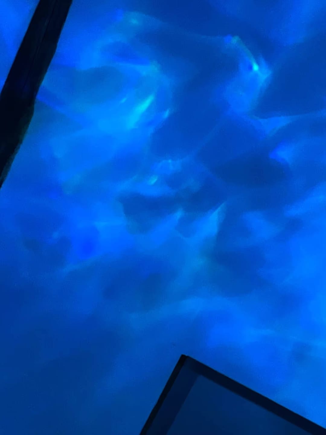 Customer photo review of Serenity Cube™ 2.0