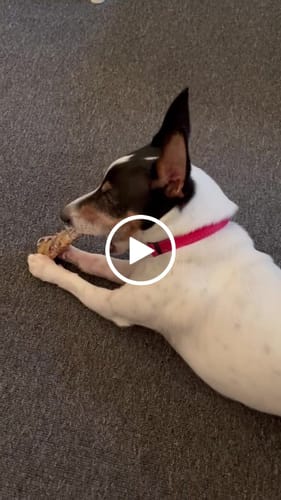 Customer video review of Aussie Beef Ribs