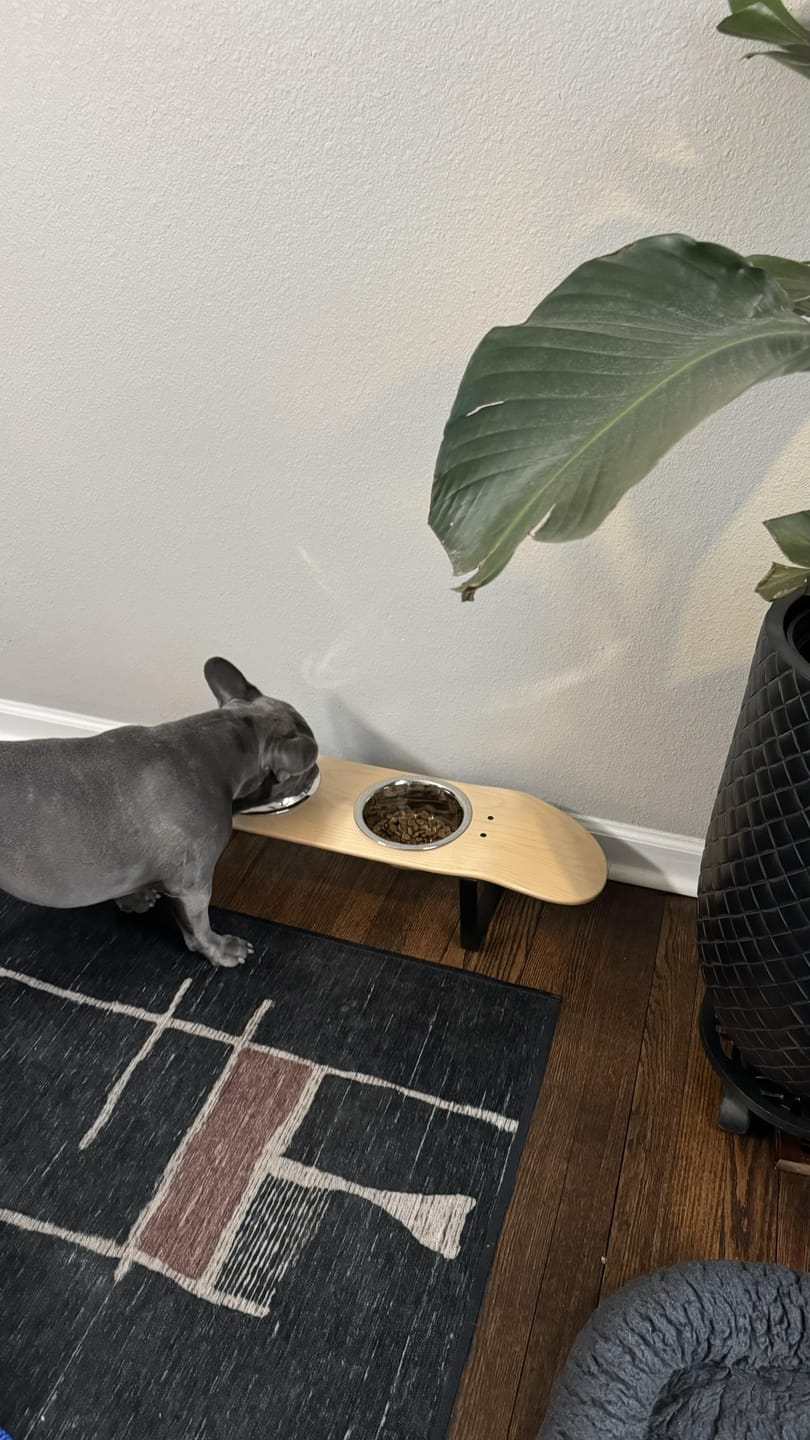 Customer photo review of Pure Maple Skateboard Dog Bowl
