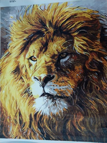 Customer photo review of Animal Lion Diy Paint By Numbers Kits Uk ZXQ3287 VM80043