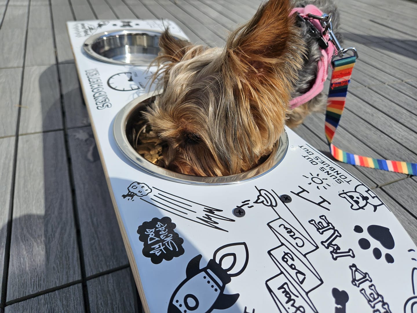 Customer photo review of Doodle Skateboard Dog Bowl