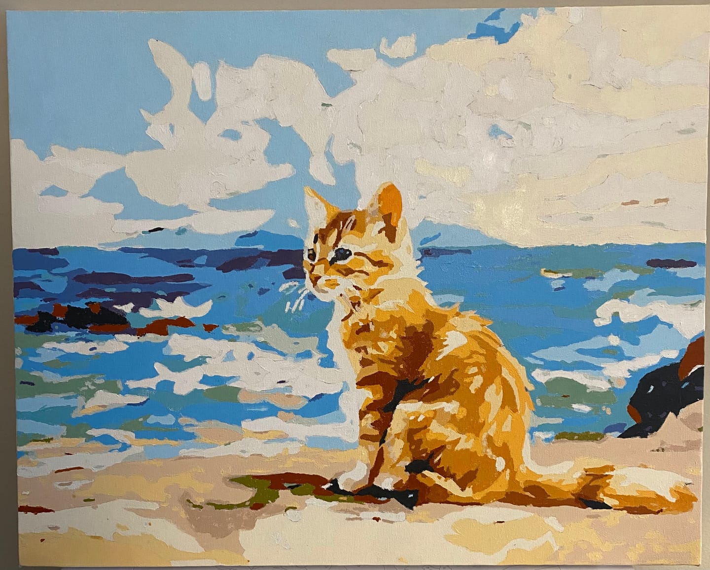 Customer photo review of Beach Kitten