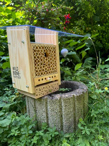 Customer photo review of BeeSummer Set Observer