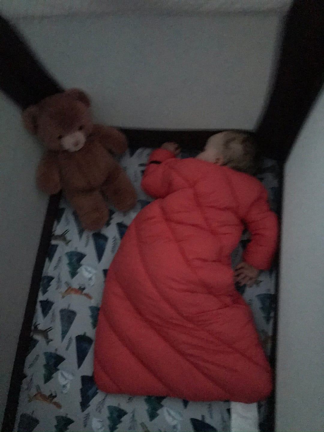 Customer photo review of Little Mo Baby Sleeping Bag (6-18 months)