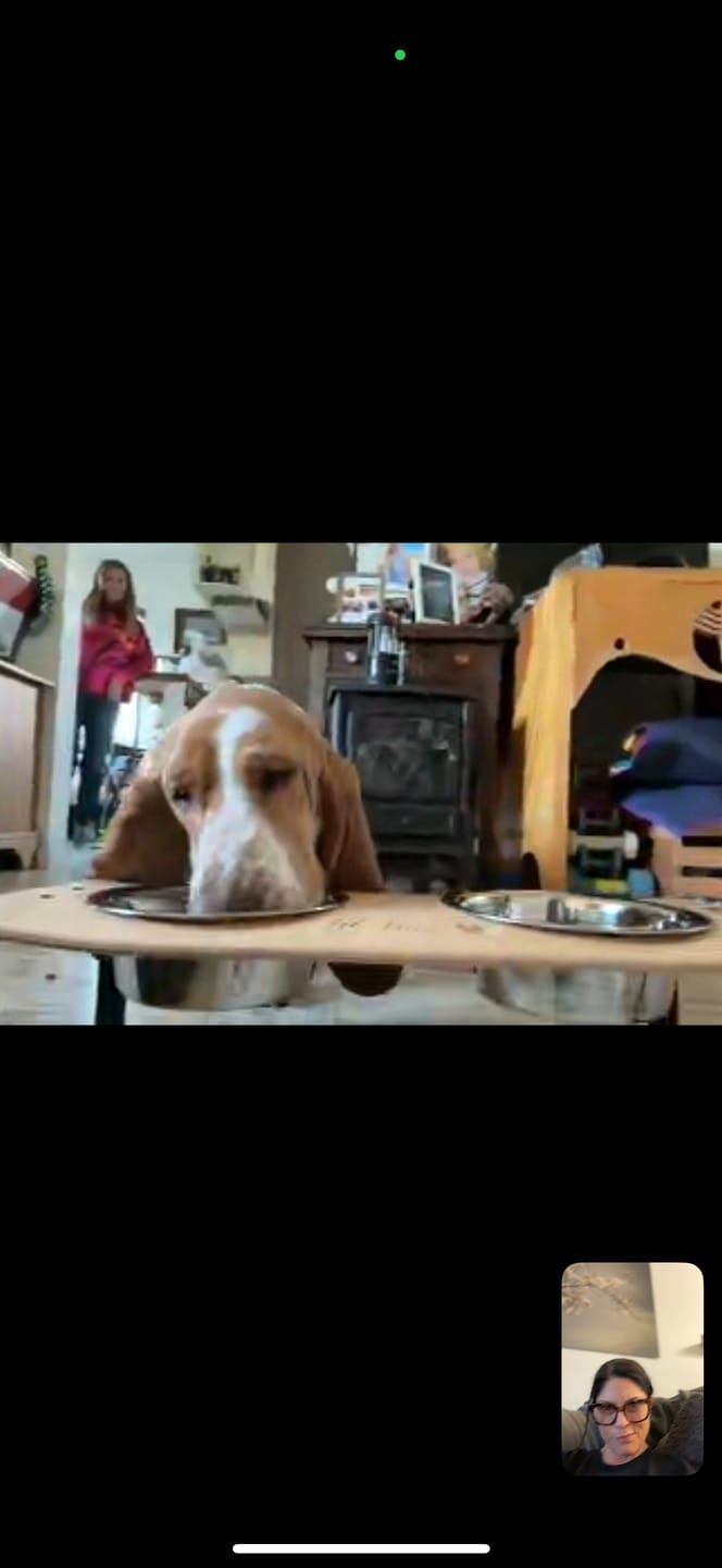Customer photo review of Pure Maple Skateboard Dog Bowl