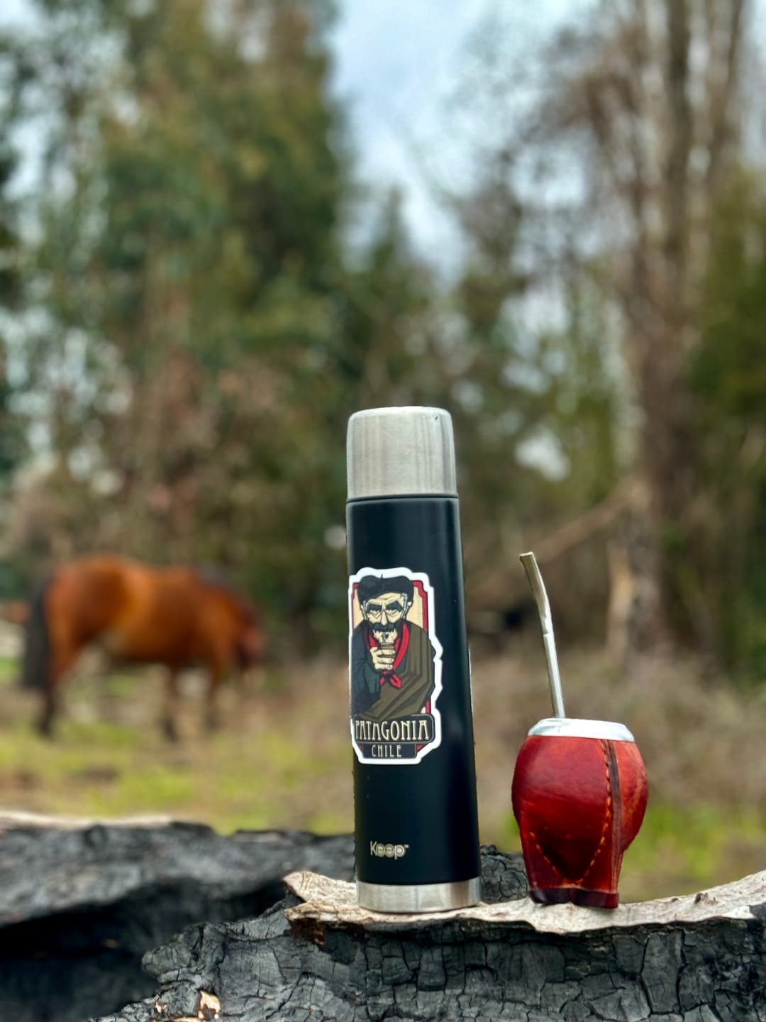 Customer photo review of Sticker Puma Torres del paine
