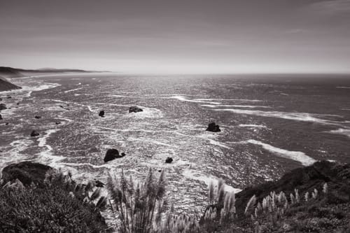 Customer photo review of Giclee Fine Art Prints 11x17