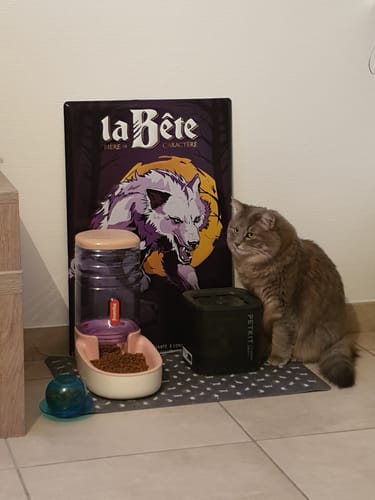 Avis photo d'un client sur Croquettes Chat Stérilisé Sans Céréales - Saumon