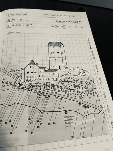 Customer photo review of Observers Friend