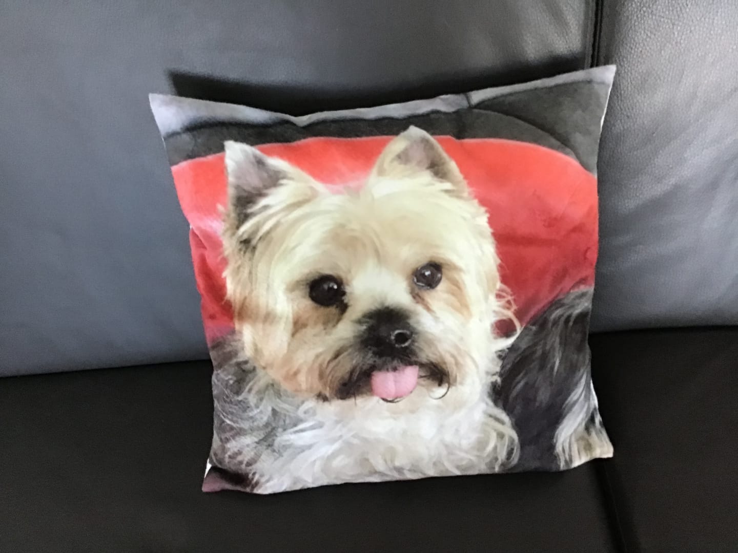 Customer photo review of Avec photo - Coussin personnalisé